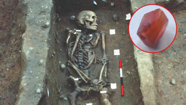 Tumba del guerrero de Repton y la cuenta de cornalina hallada en el yacimiento vikingo.
