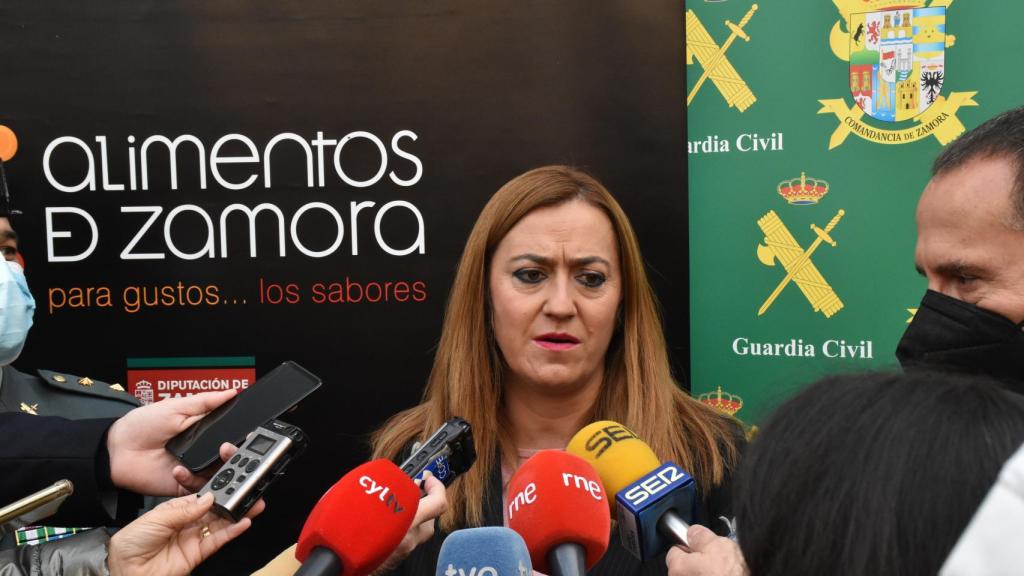 La delegada del Gobierno en Castilla y León, Virginia Barcones
