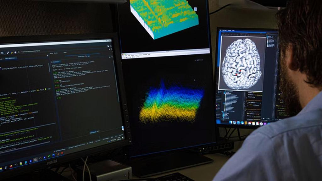 Datos neuronales procesados en tiempo real con un software especial.