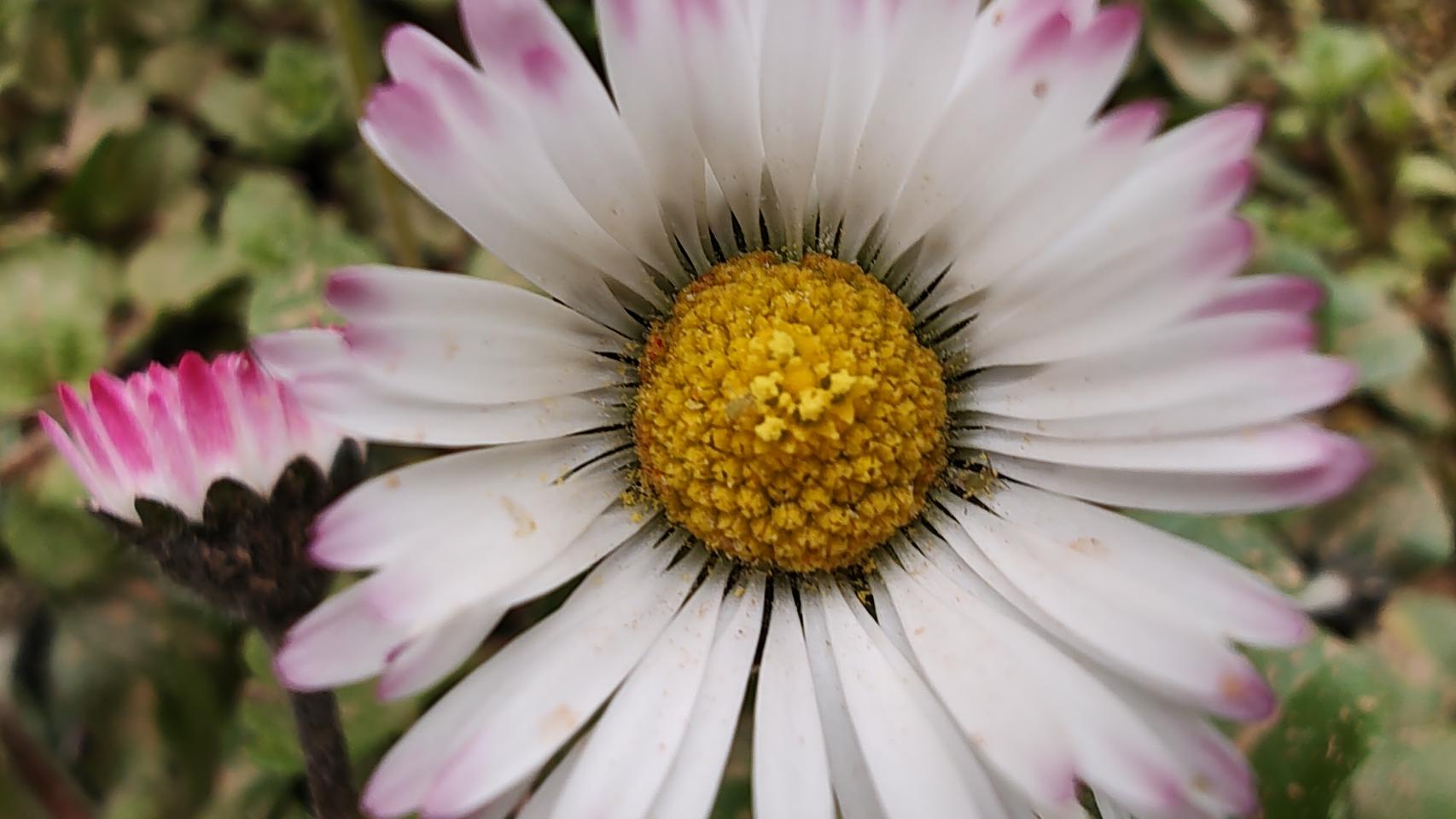 Fotografías tomadas con el Motorola Edge 30 Pro