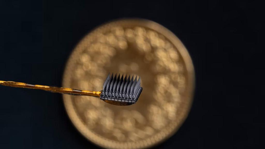 Uno de los microelectrodos implantados al paciente.