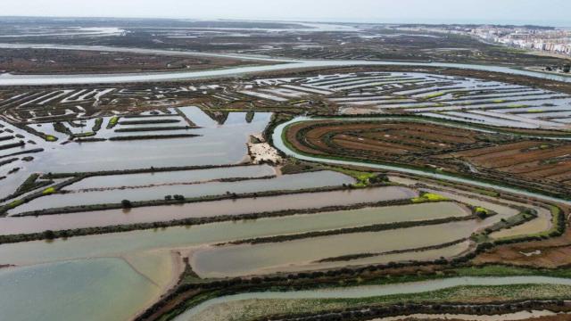 La nueva ruta del narco del hachís: marea alta y pilotos expertos en los caños de la Bahía de Cádiz