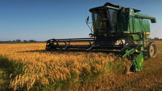 Una cosechadora de trigo.