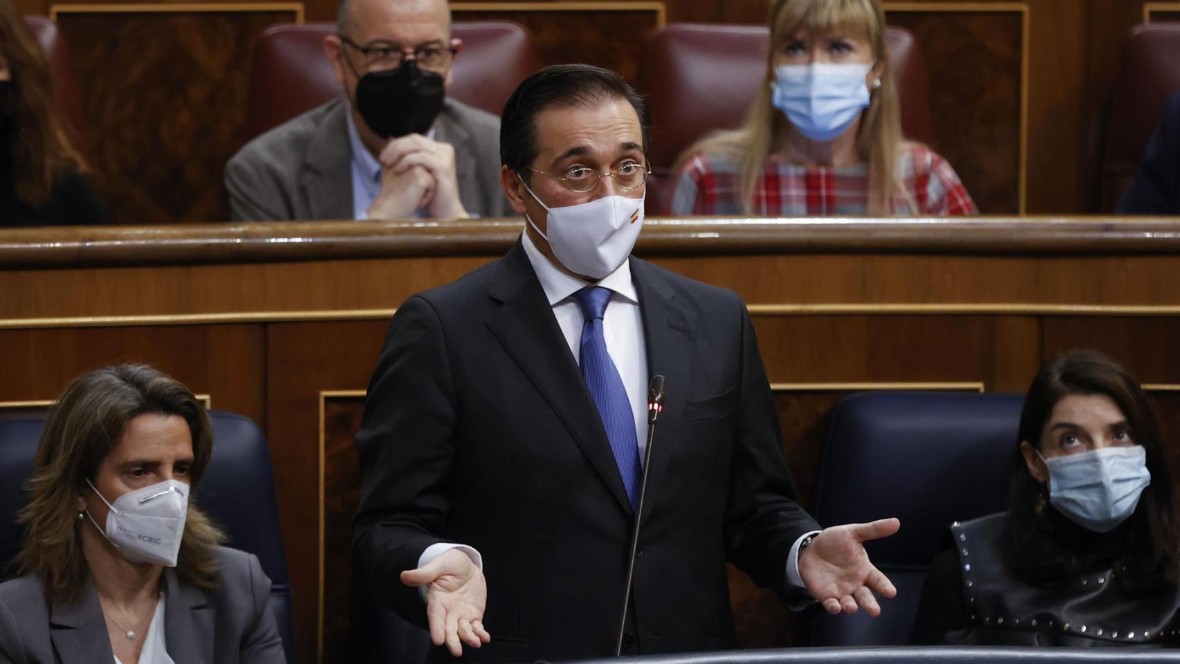 El ministro de Exteriores, José Manuel Albares, este miércoles durante la sesión de control al Gobierno.