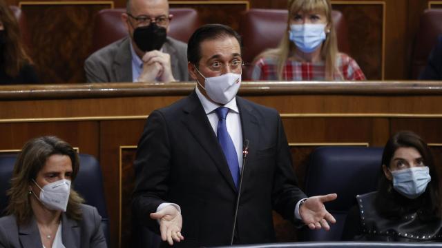 El ministro de Exteriores, José Manuel Albares, este miércoles durante la sesión de control al Gobierno.