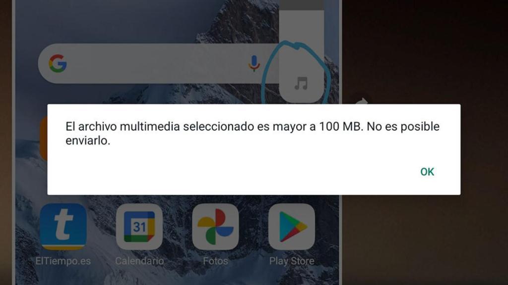 Mensaje que aparece en España si intentamos enviar un archivos de más de 100 MB por WhatsApp