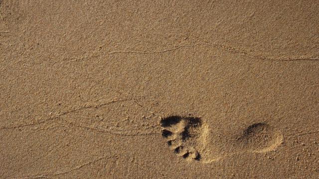 Foto de  Elviss Railijs Bitāns en Pexels