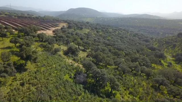 20 años cuidando del planeta