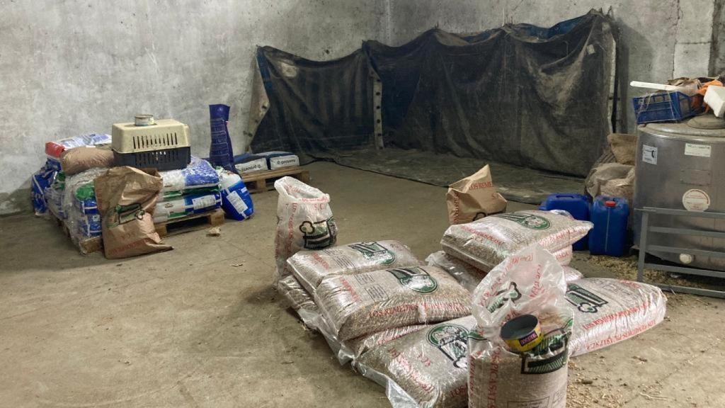 Rodrigo ha logrado encontrar algunos sacos de pienso, insuficientes para sus 500 cabras y ovejas.