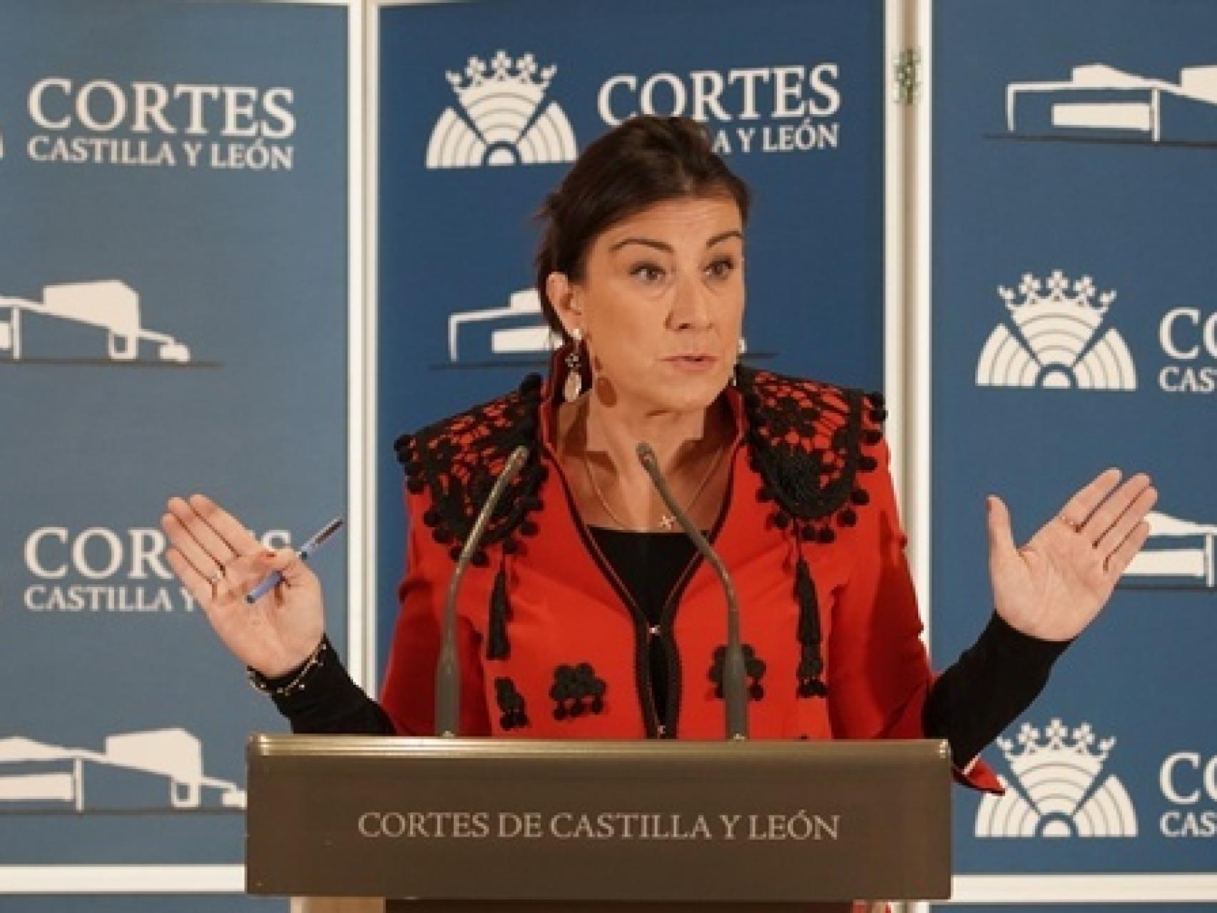 La vicepresidenta segunda de las Cortes, Ana Sánchez, durante la rueda de prensa ofrecida este viernes en la Cámara.