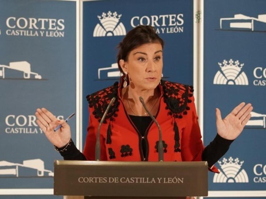La vicepresidenta segunda de las Cortes, Ana Sánchez, durante la rueda de prensa ofrecida este viernes en la Cámara.