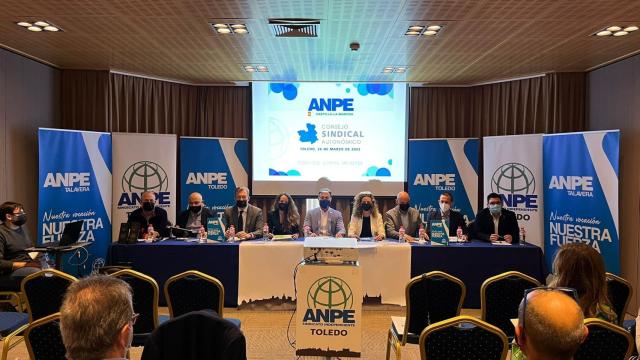 Consejo Sindical de ANPE Castilla-la Mancha.