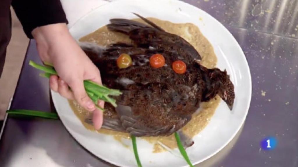 El plato de la discordia que Saray Carrillo presentó a los jueces de 'MasterChef'.