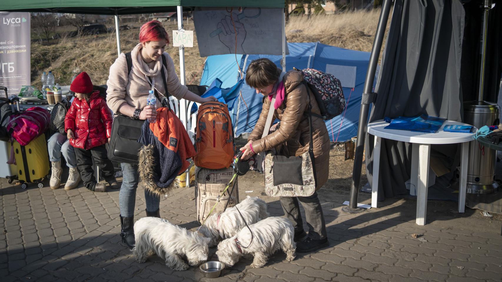 Así se viven los refugiados en Medyka, junto a la frontera ucraniana