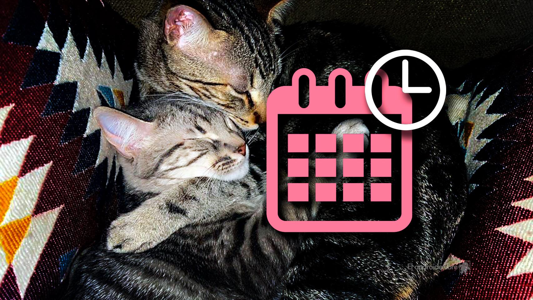 Así puedes cambiar la hora y fecha de  una fotografía en tu móvil