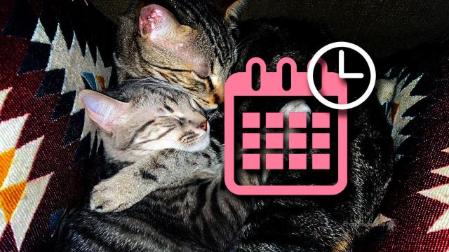 Así puedes cambiar la hora y fecha de  una fotografía en tu móvil