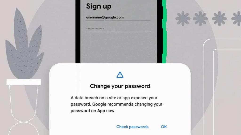 Password Breach