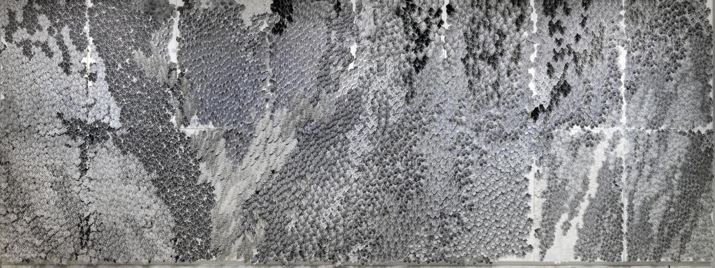 'Te llamaré hoja', 2005 © Soledad Sevilla