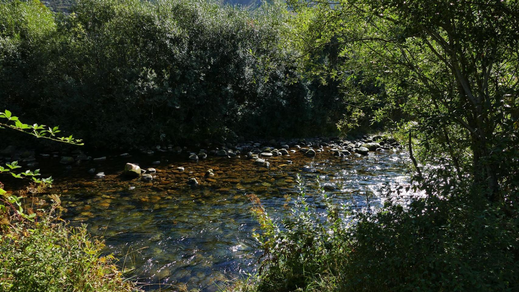 El río Carrión a su paso por la ruta de los Pescadores en Palencia