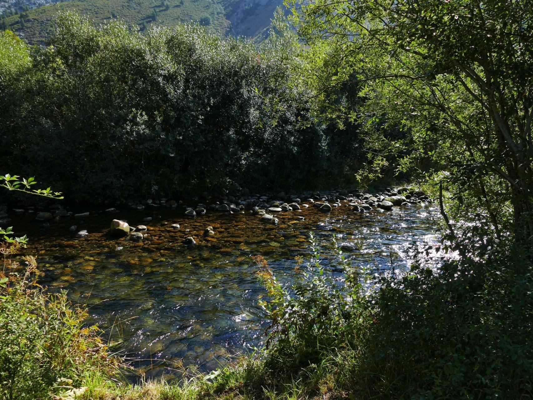 El río Carrión a su paso por la ruta de los Pescadores en Palencia