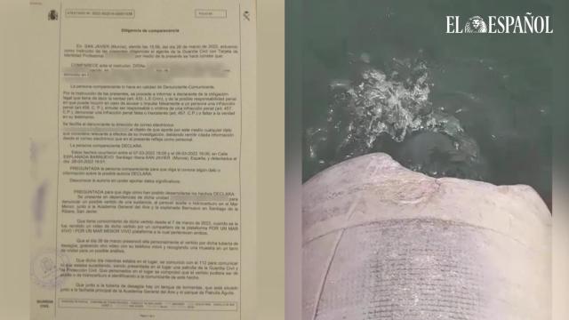 La denuncia que la Plataforma por un Mar Menor vivo ha presentado en la Guardia Civil.