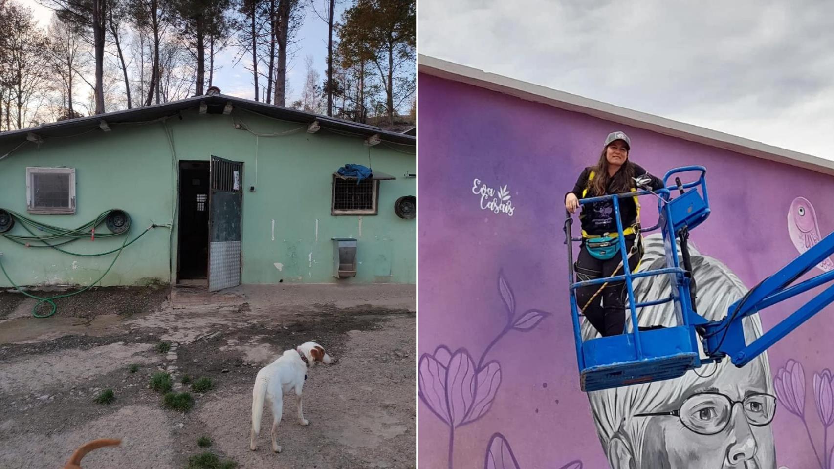 La muralista Eva Casais pintará la protectora Os Biosbardos.