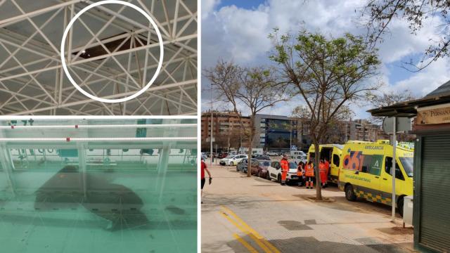 Una de las imágenes del incidente.