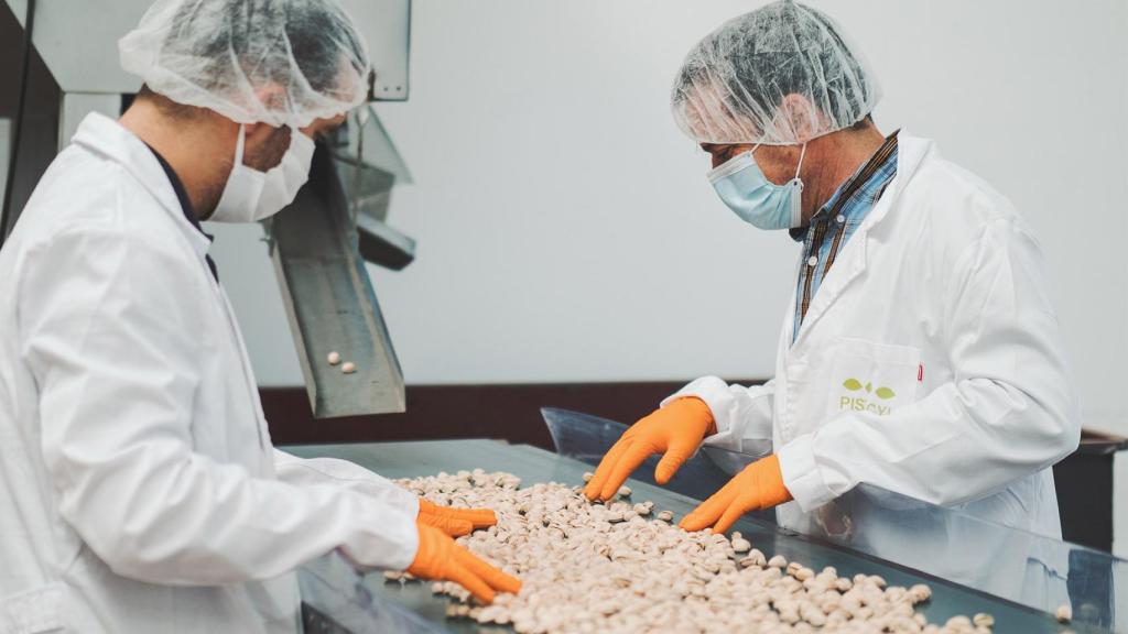Operarios de Pistacyl seleccionan el producto.