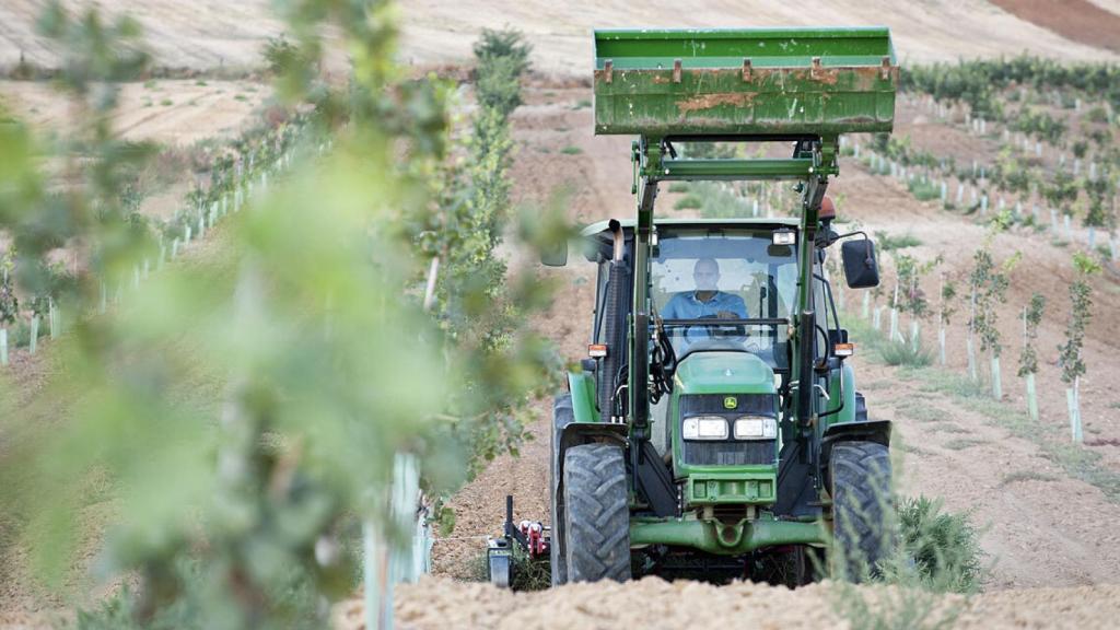 Un agricultor trabajando en la Finca Doña Amor, propiedad de Green Beat Pistachos