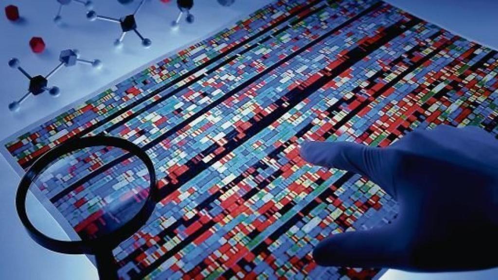 Había un 8% del genoma que todavía no había sido desvelado.