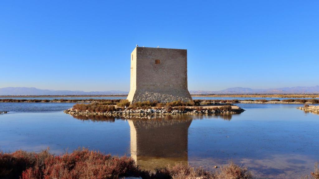 Torre del Tamarit, Santa Pola.