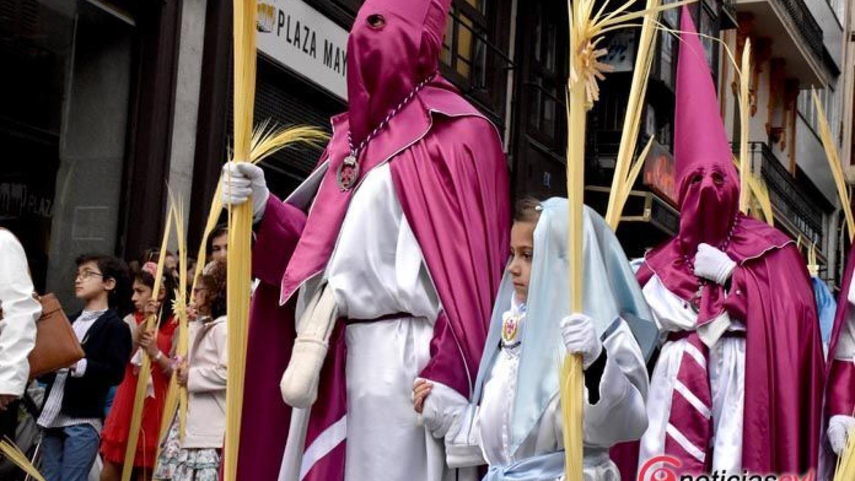 La Borriquita de Zamora | Real Cofradía de Jesús en su Entrado Triunfal en Jerusalén