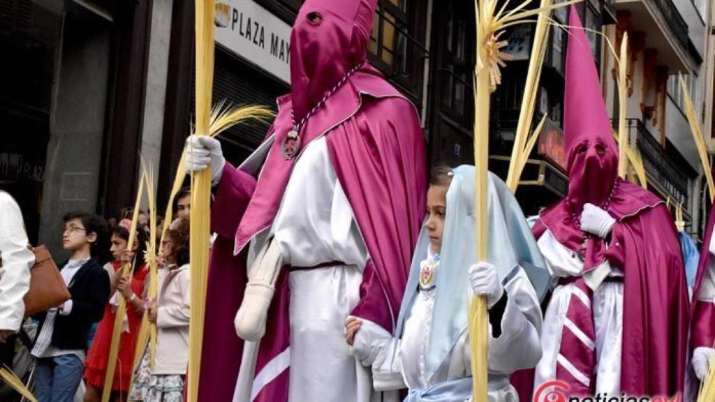 La Borriquita de Zamora | Real Cofradía de Jesús en su Entrado Triunfal en Jerusalén