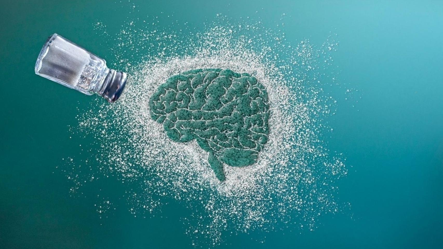 Antojos de sal (sodio) en el cerebro.