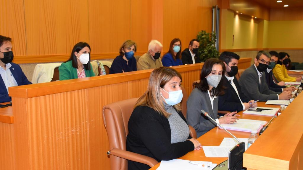 Tita García en el pleno extraordinario.