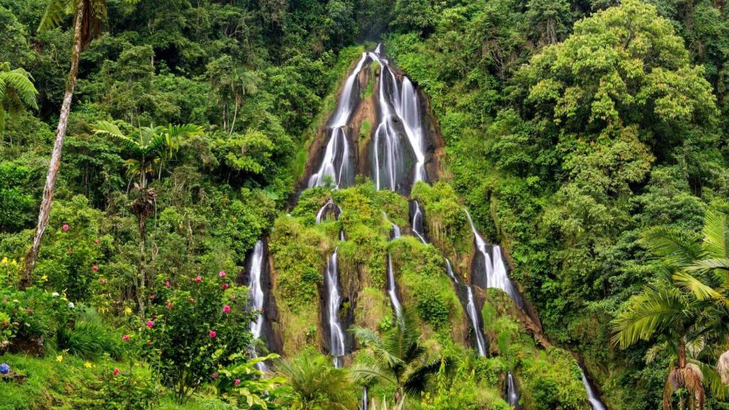 El agua de una cascada.
