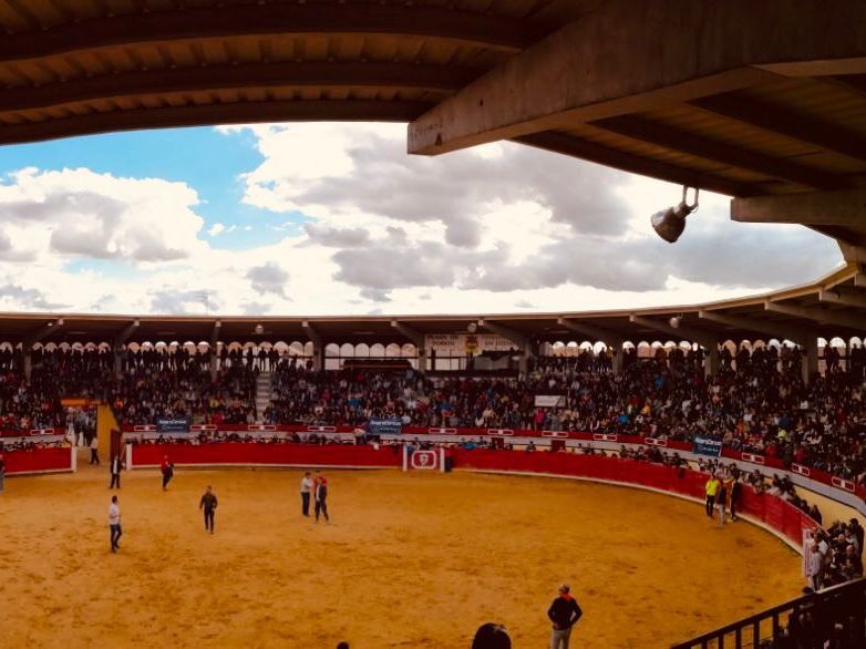 Plaza de toros de Pedrajas de San Esteban. Fotografía: Asociación Afición Taurina de Pedrajas de San Esteban