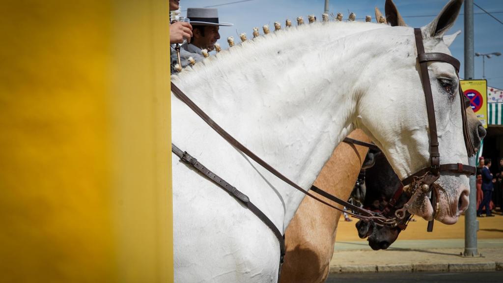 Ambiente del real en la Feria de Abril de 2019.