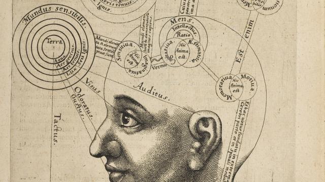 Dibujo del triple alma del hombre, según Robert Fludd (1618).