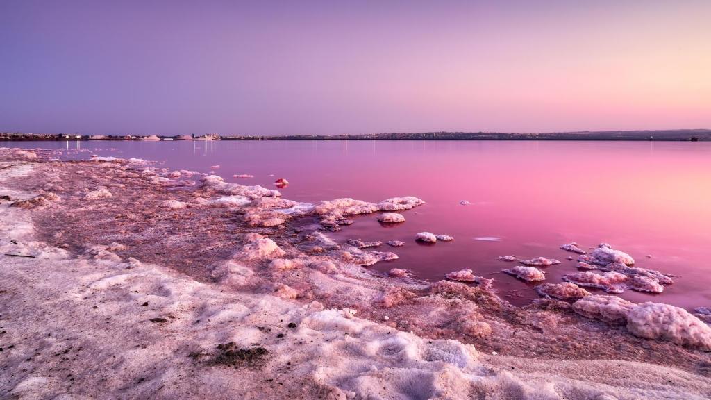 Laguna Rosa de Torrevieja.