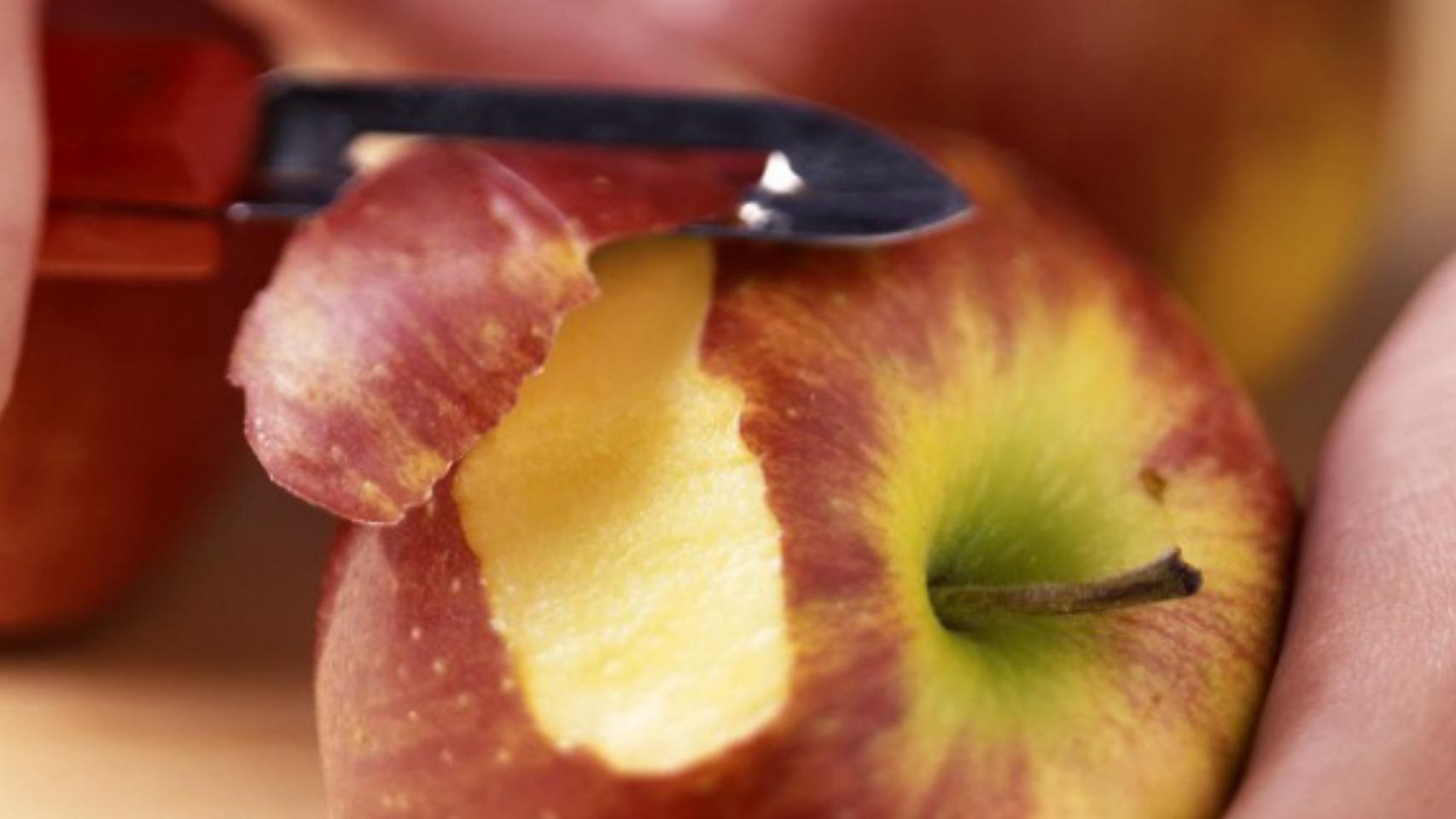 Piel de la fruta.