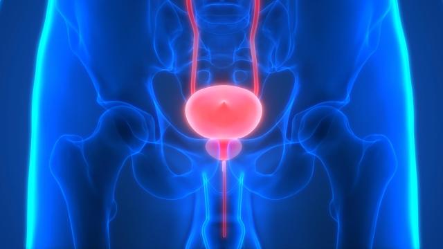 Visualización de la próstata.