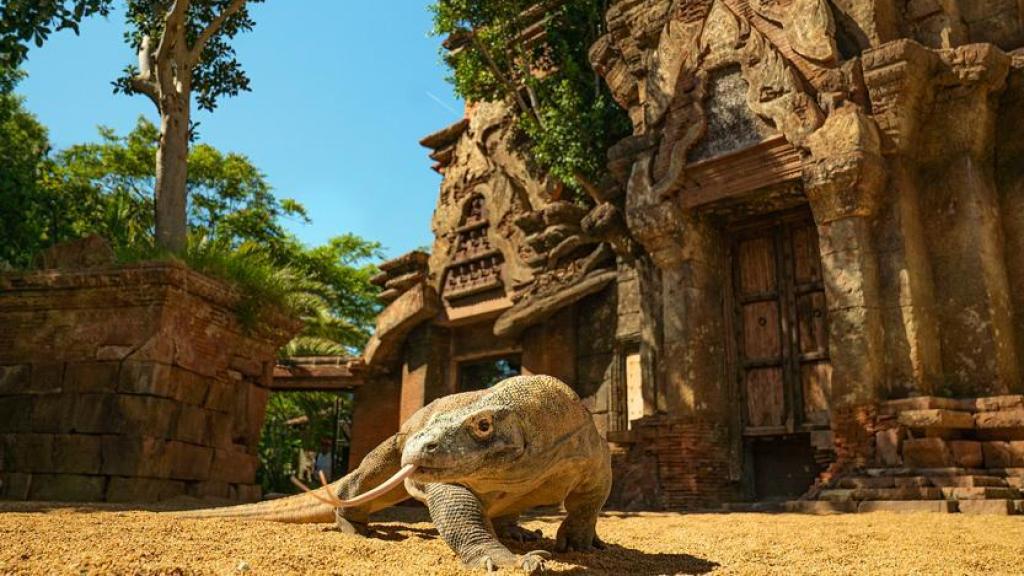 Los Bioparc, protagonistas en la docuserie 'Crónicas del zoo' de Dmax este fin de semana