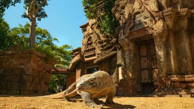 Los Bioparc, protagonistas en la docuserie 'Crónicas del zoo' de Dmax este fin de semana