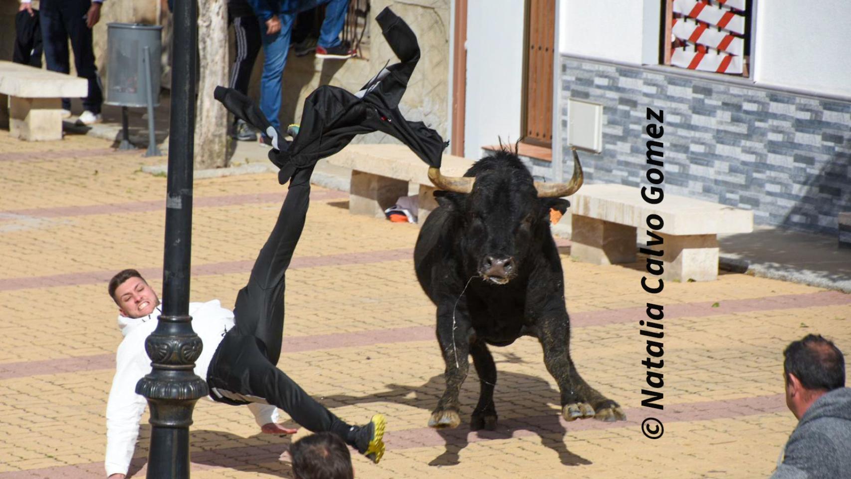 Toros en Sieteiglesias