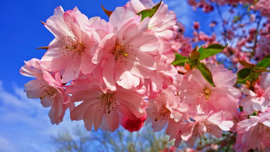 ¿De dónde proviene la palabra 'abril'?