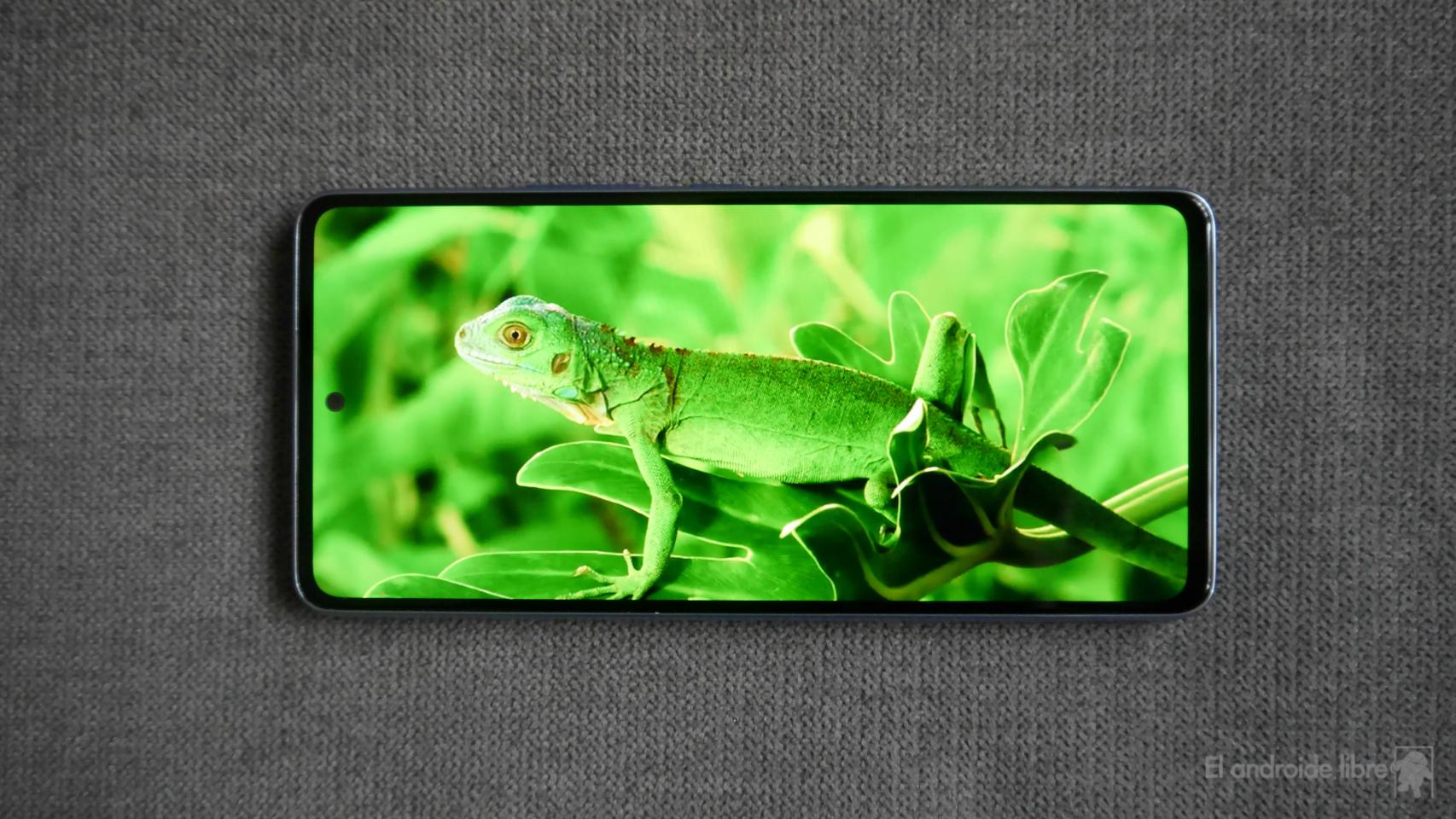 Samsung Galaxy A53