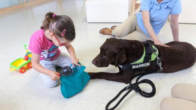Ensayo clínico de terapia con animales.