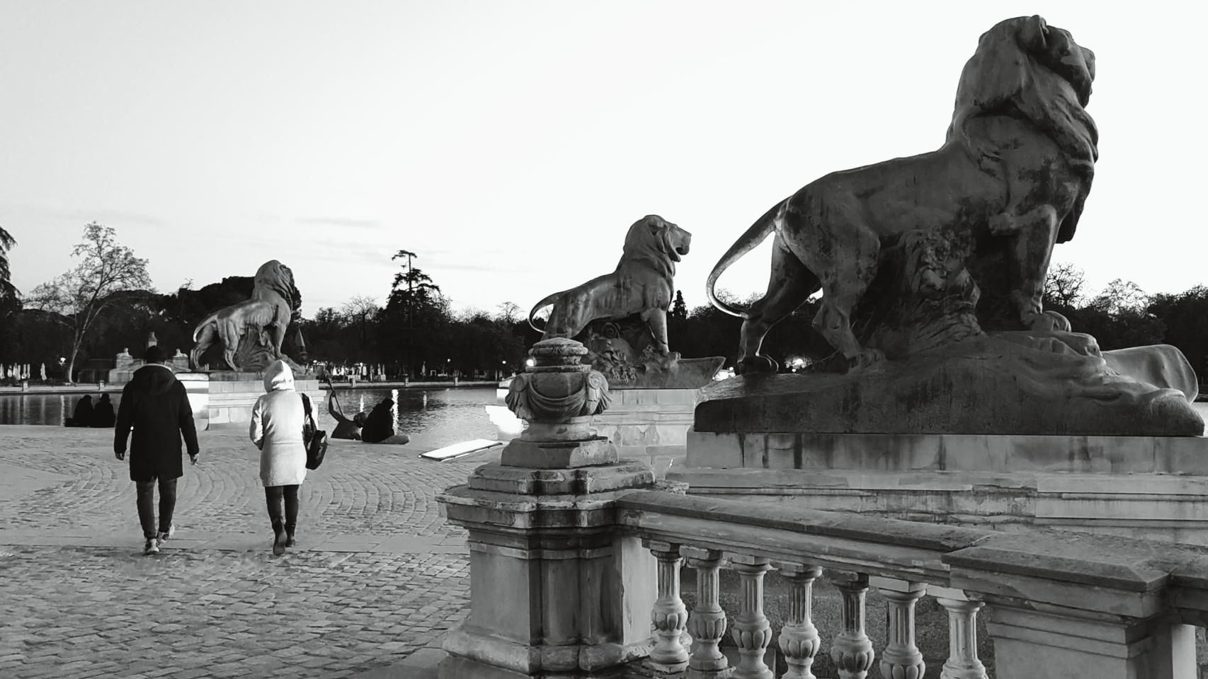 Fotos hechas con el modo XPAN de Hasselblad del OnePlus 10 Pro