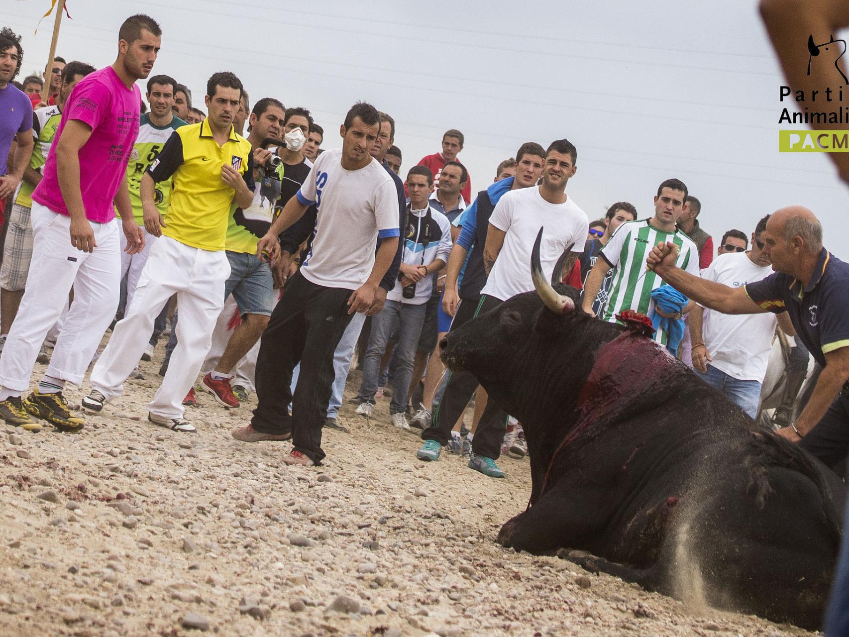 Imagen de archivo de un torneo del Toro de la Vega.
